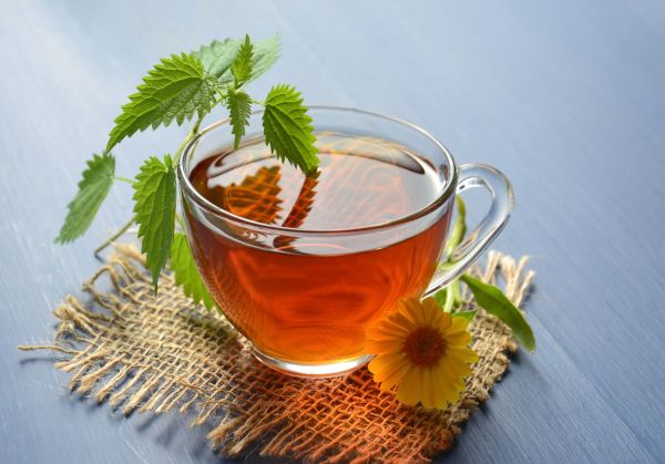 Guide d'achat du miel d'euphorbe : saveurs et bienfaits clés